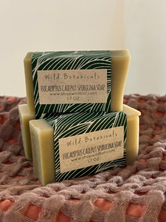 Eucalyptus Cajapult Spirulina Soap