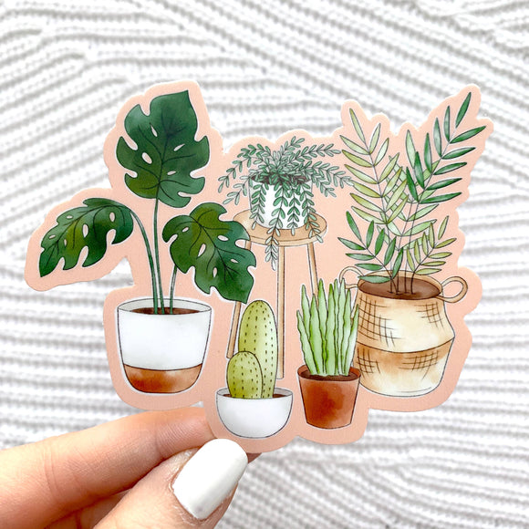 Potted Plants with Pink Background Sticker